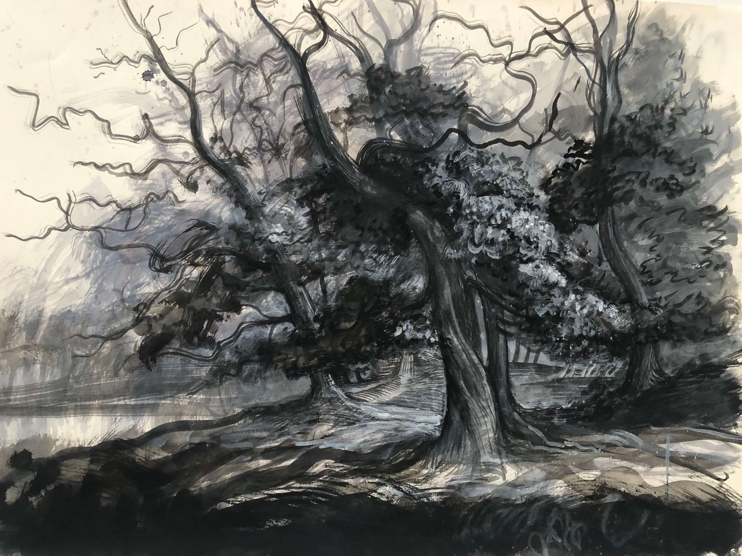 black and white trees by a pond