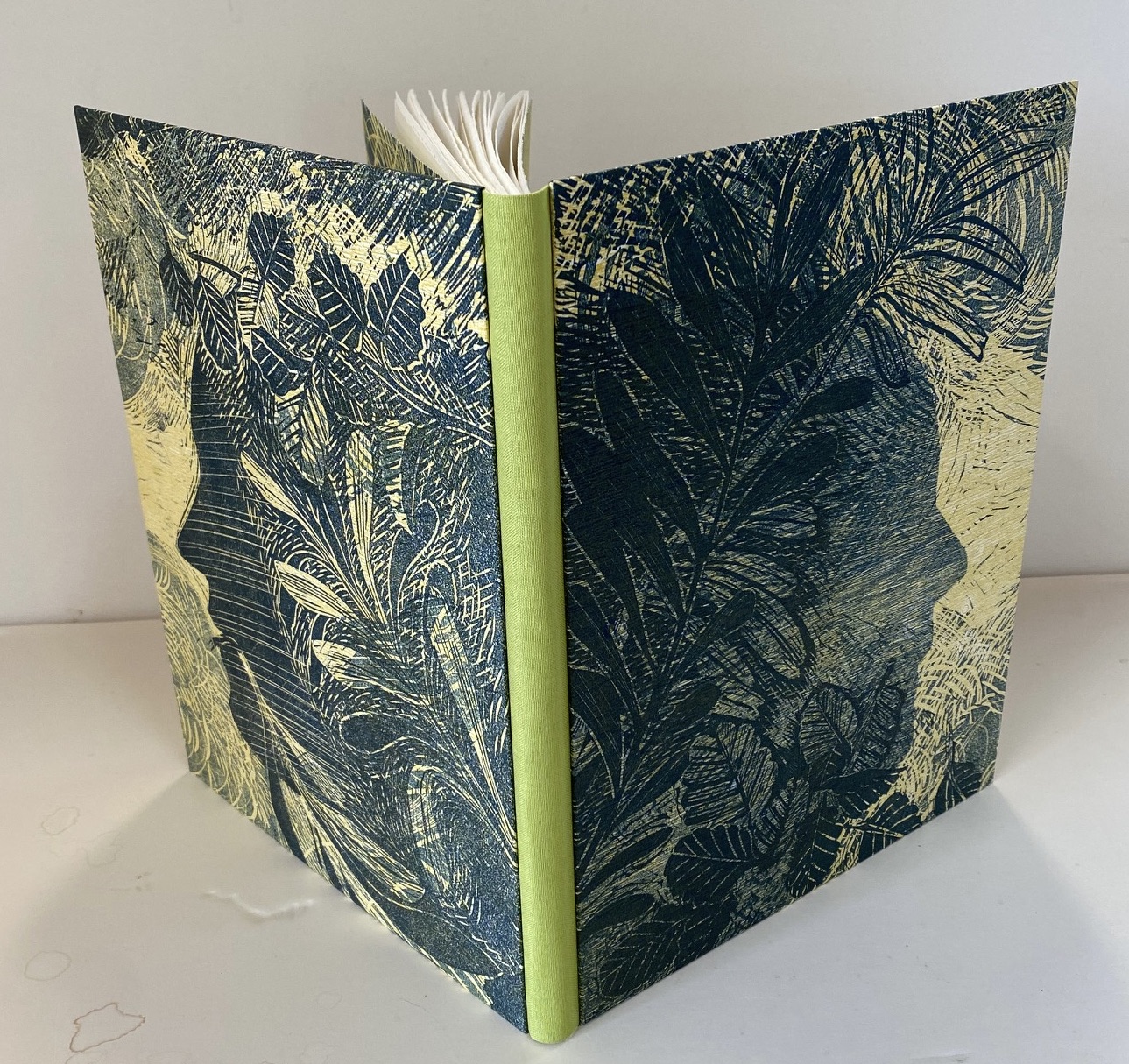 open book showing covers Janus image